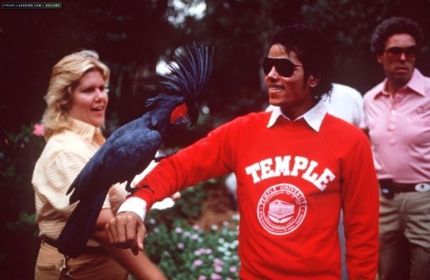 Michael Jackson