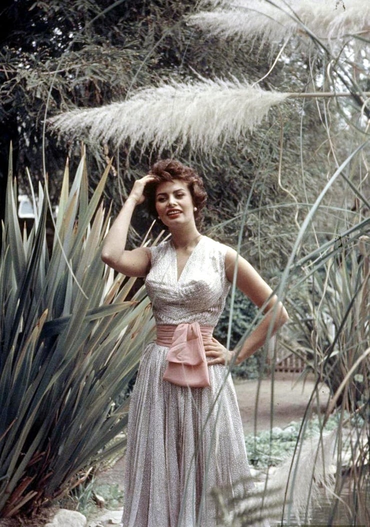 Sophia Loren