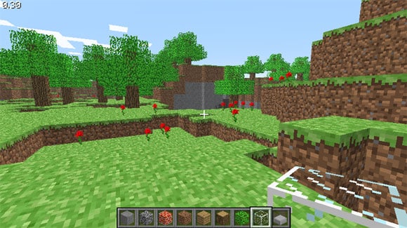 Picture of Minecraft