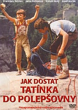 Jak dostat tatínka do polepsovny