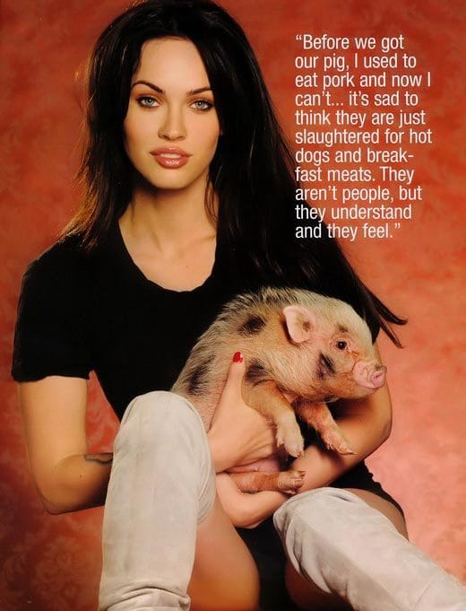 Megan Fox Megan Fox