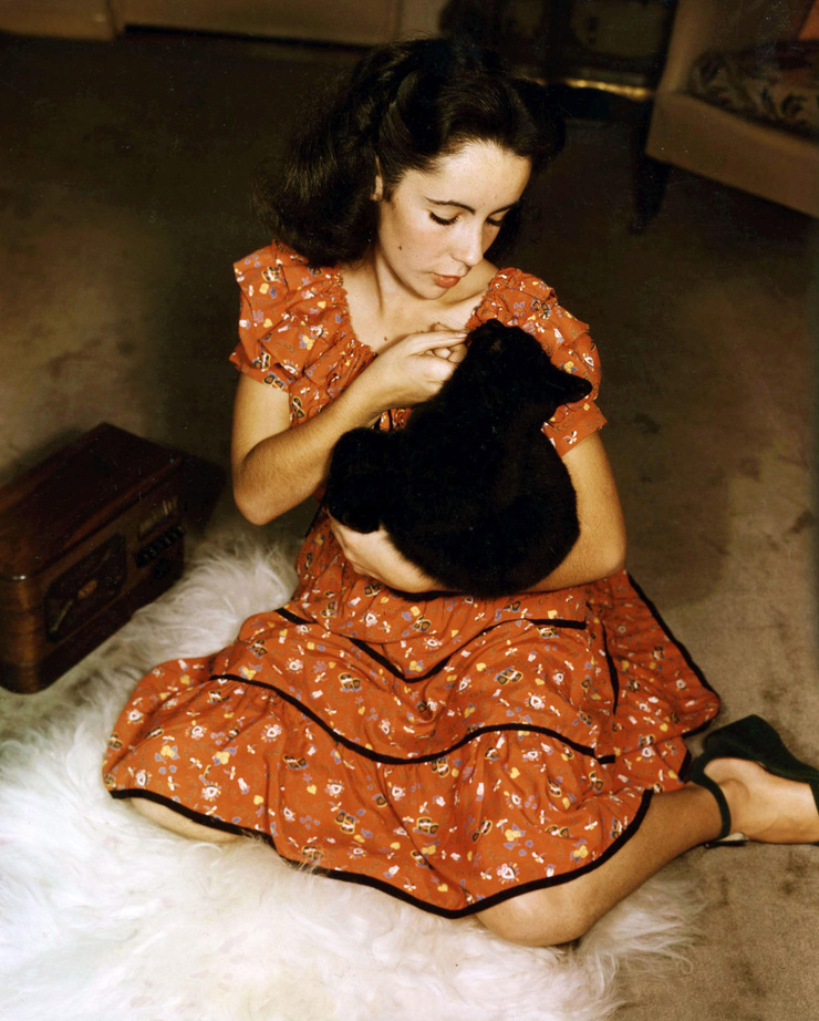 Elizabeth Taylor Elizabeth Taylor