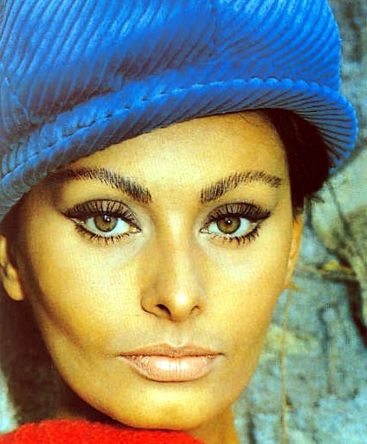 Picture of Sophia Loren