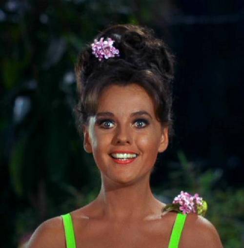 Dawn Wells Dawn Wells