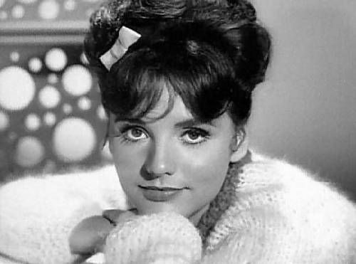 Dawn Wells