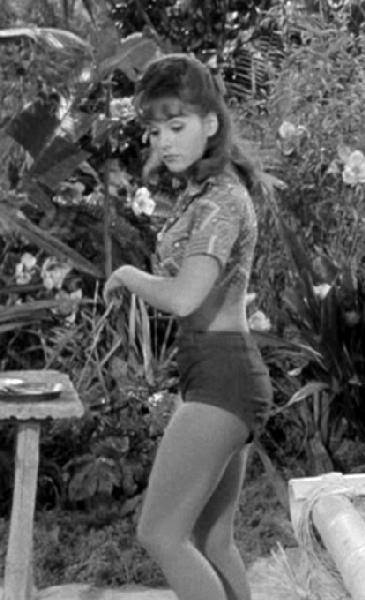 Dawn Wells Dawn Wells