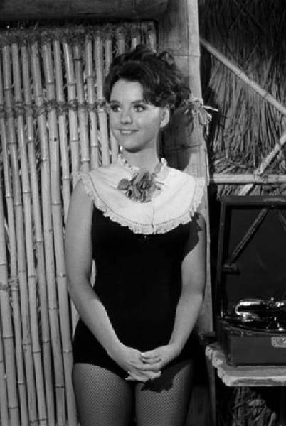 dawn wells movies and tv shows