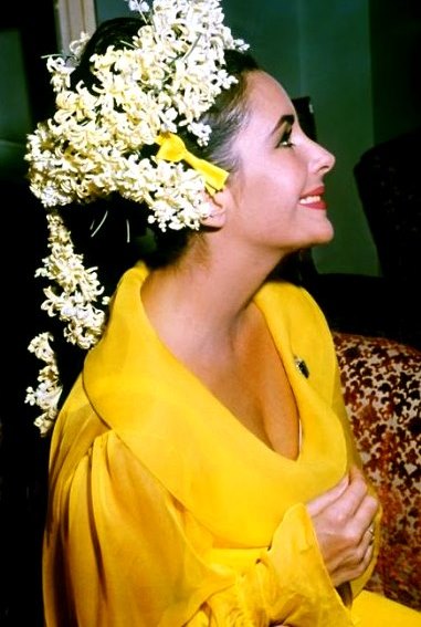 Elizabeth Taylor Elizabeth Taylor