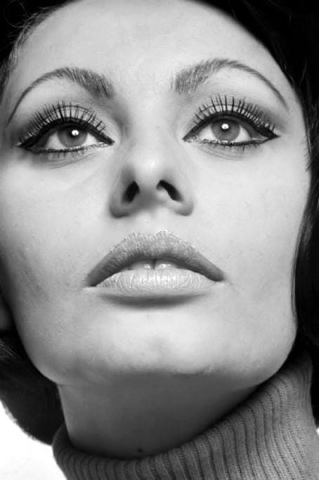 Picture of Sophia Loren