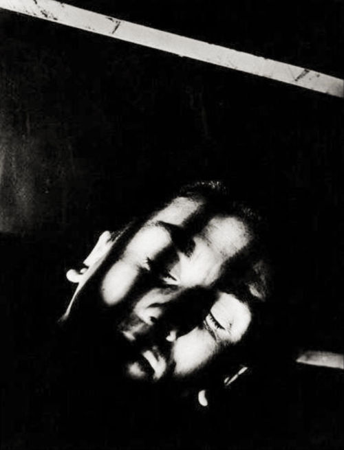 Tim Roth Tim Roth