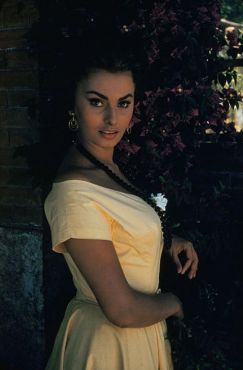 Sophia Loren Sophia Loren