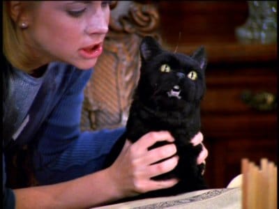 Sabrina, the Teenage Witch