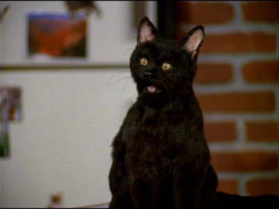 Sabrina, the Teenage Witch Sabrina, the Teenage Witch