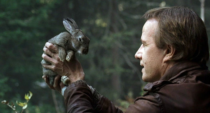 The Year of the Hare The Year of the Hare