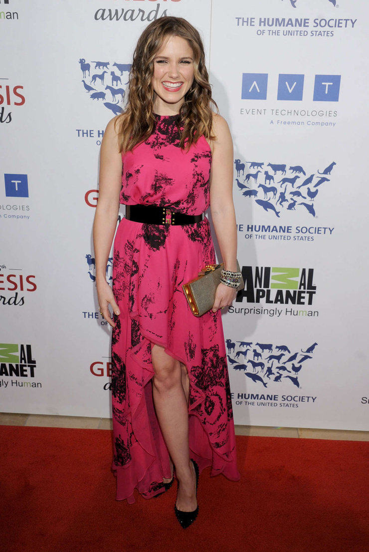 Sophia Bush