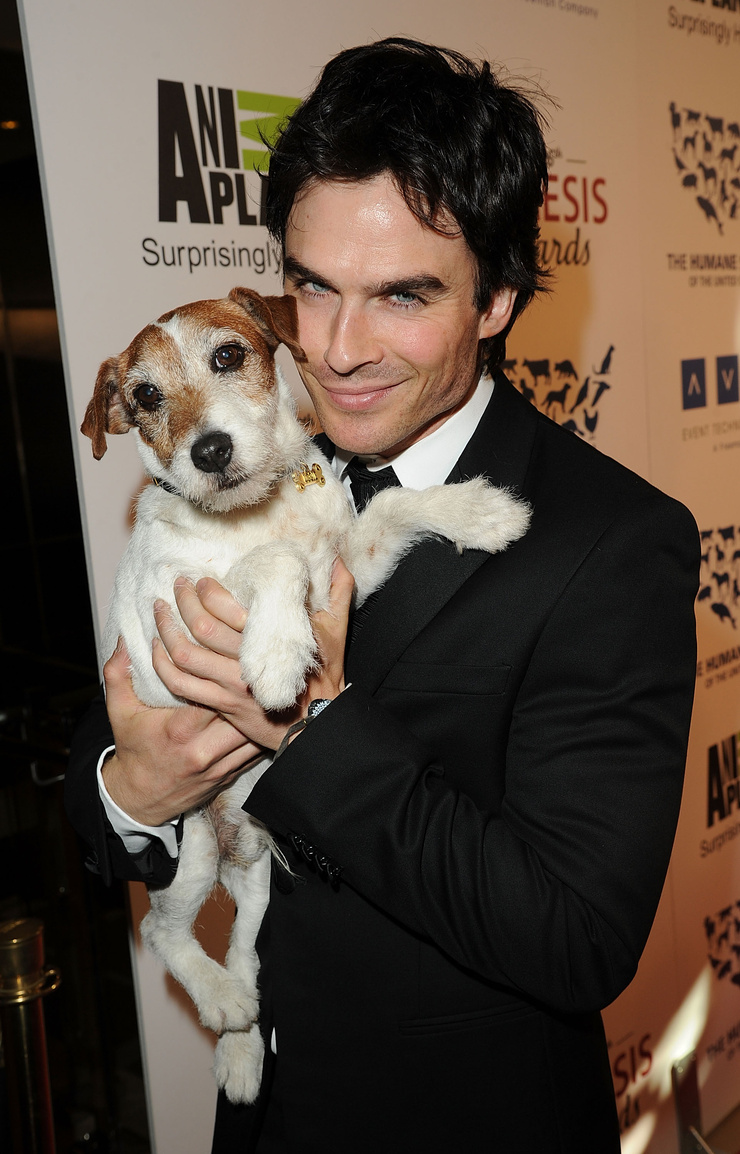 Ian Somerhalder