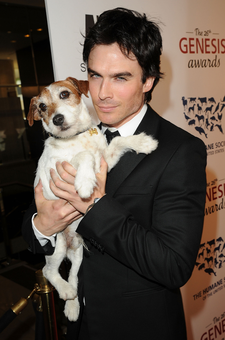 Ian Somerhalder