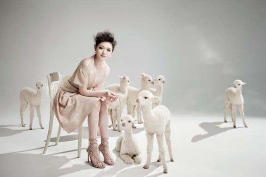 Barbie Hsu