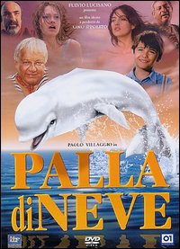 Palla di neve