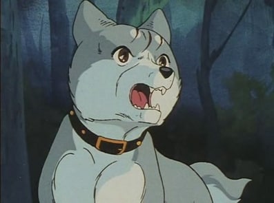 Ginga: Nagareboshi Gin