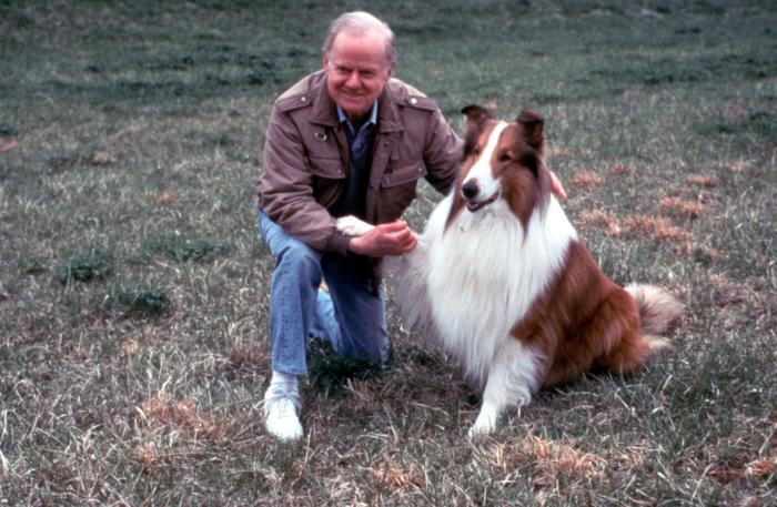 Lassie (1994)