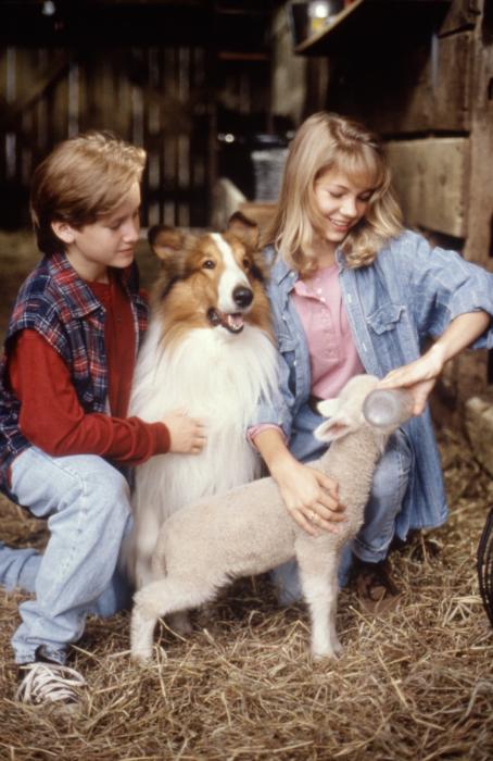 Lassie Lassie
