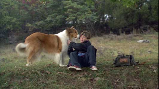 Lassie (1994)