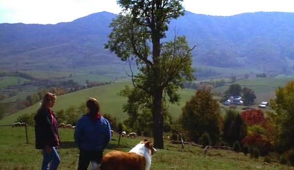 Lassie (1994)