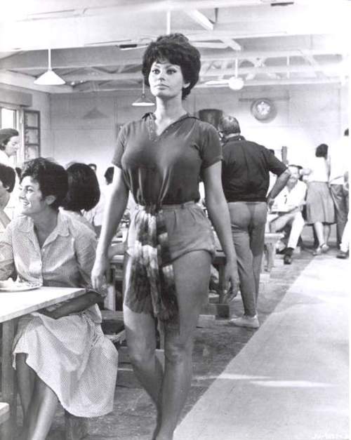 Sophia Loren