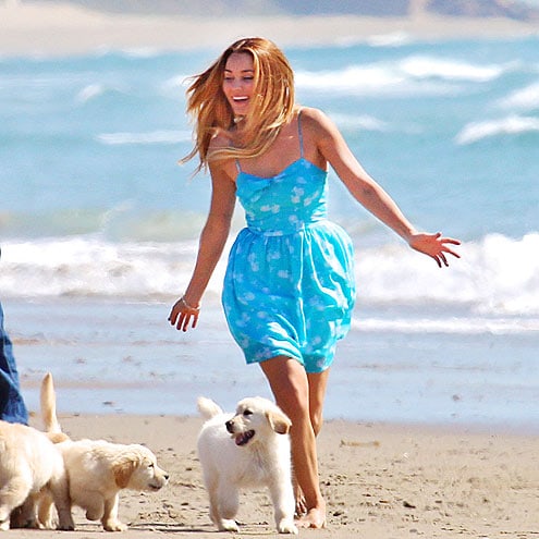 Lauren Conrad