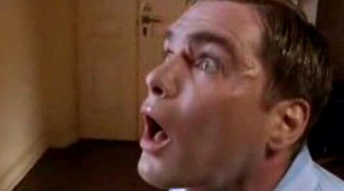 Van Wilder