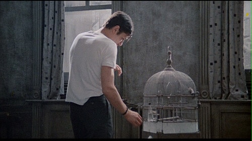 Le Samourai Le Samourai