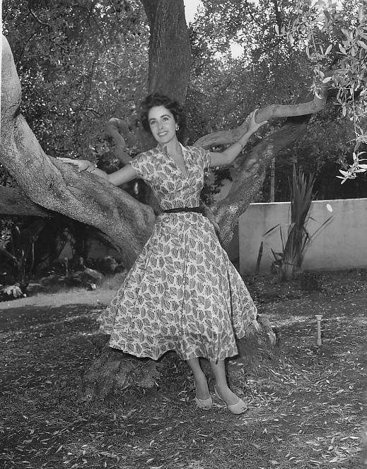 Elizabeth Taylor Elizabeth Taylor