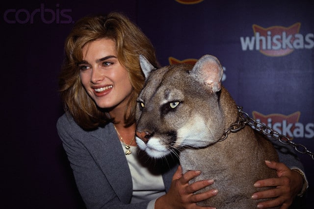 Brooke Shields