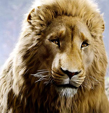 The Chronicles of Narnia: The Lion, the Witch and the Wardrobe The Chronicles of Narnia: The Lion, the Witch and the Wardrobe