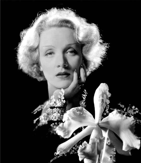 Marlene Dietrich