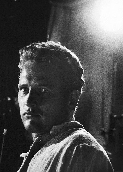 Paul Newman