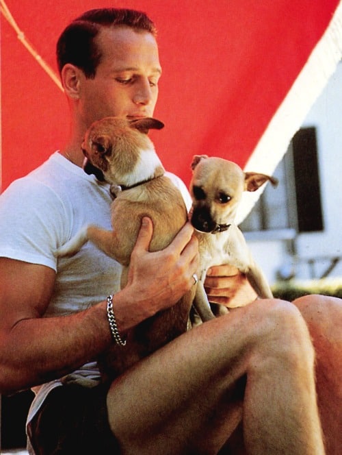 Paul Newman