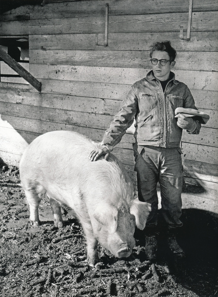 James Dean James Dean