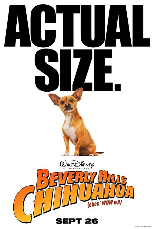 Beverly Hills Chihuahua