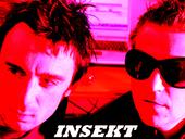 Insekt