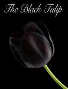 The Black Tulip