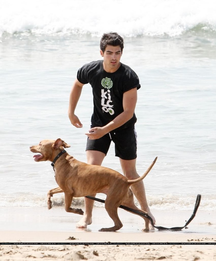 Joe Jonas