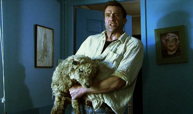 The One About the Sheep