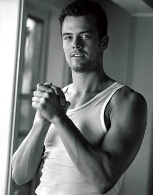 Picture of Josh Duhamel