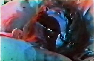 Lucker                                  (1986)