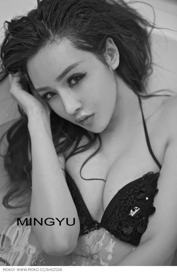 Shi Zi Jia Shi Zi Jia