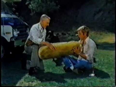 The Amazing Dobermans (1976)