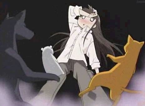 Fruits Basket