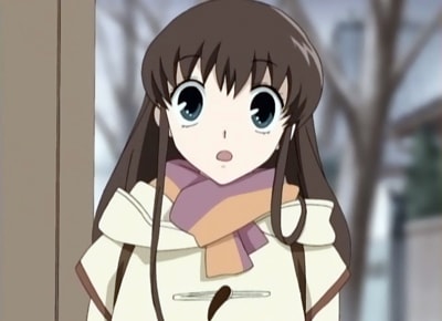 Fruits Basket